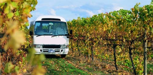 yarra-valley